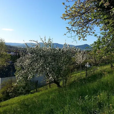 Teck-apartment * キルヒハイム・ウンター・テック