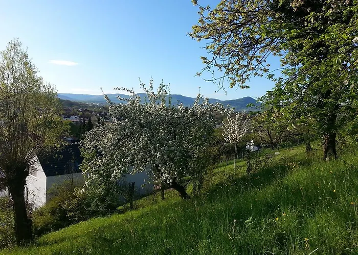 Teck-apartment * كيرشهايم أونتر تيك